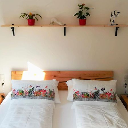 Apartmany Cechovni Moravská Třebová Стая снимка